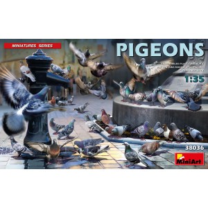 PIGEONS 1/35