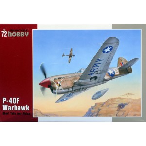 P-40 F Warhawk Short Tails...