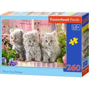 Three Grey Kittens 260pcs