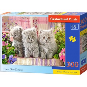 Three Grey Kittens Puzzle...
