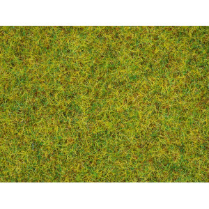 Scatter Grass Summer Meadow, 2,5 mm