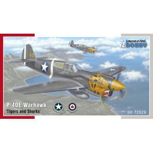 P-40E Warhawk ‘Tigers and...